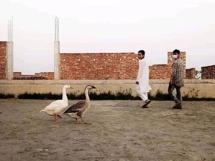 gambar ini bisa dirasakan sama yang lihat © berbagai sumber