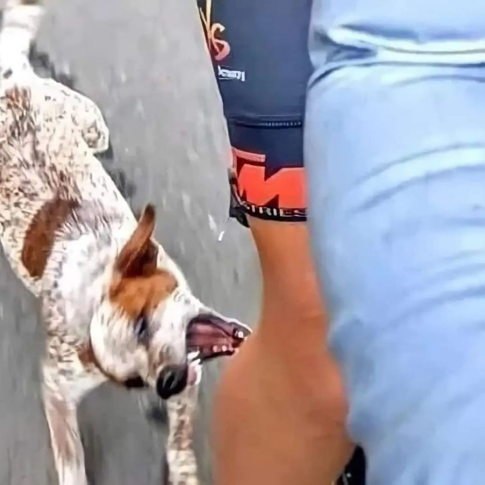 gambar ini bisa dirasakan sama yang lihat © berbagai sumber