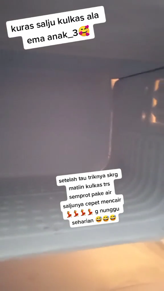 Cara mencairkan bunga es di kulkas ini unik, ampuh cuma 30 menit