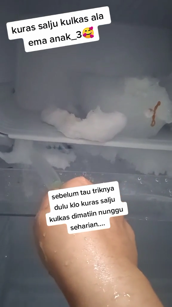 Cara mencairkan bunga es di kulkas ini unik, ampuh cuma 30 menit