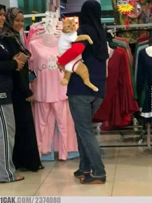 orang bucin ke kucing © Berbagai sumber orang bucin ke kucing © Berbagai sumber