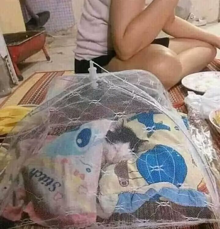 orang bucin ke kucing © Berbagai sumber orang bucin ke kucing © Berbagai sumber