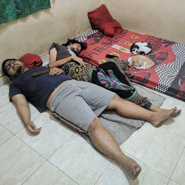 orang bucin ke kucing © Berbagai sumber orang bucin ke kucing © Berbagai sumber