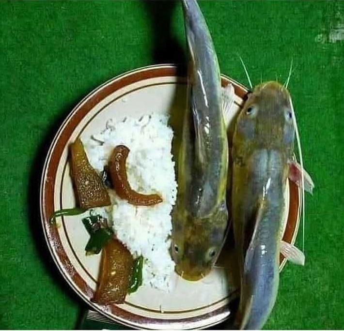 makan ikan Ini Bikin tepuk Jidat  © 2023 brilio.net