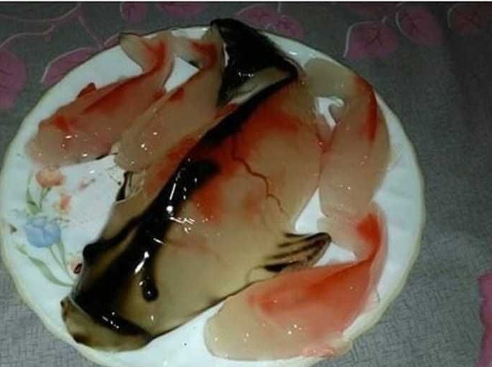 makan ikan Ini Bikin tepuk Jidat  © 2023 brilio.net