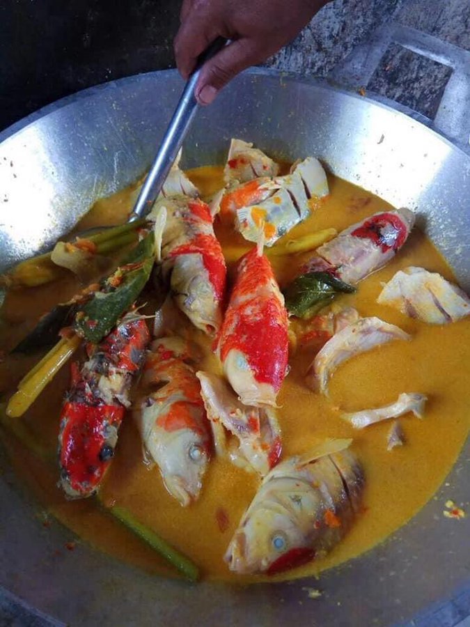 makan ikan Ini Bikin tepuk Jidat  © 2023 brilio.net