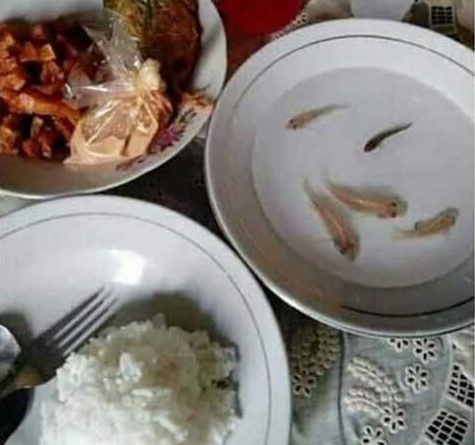 makan ikan Ini Bikin tepuk Jidat  © 2023 brilio.net