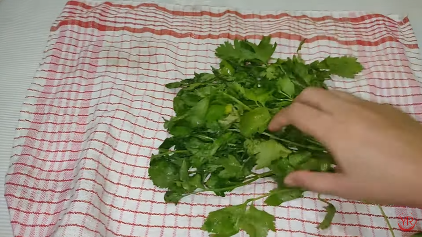 Trik jitu menyimpan daun seledri agar tetap awet selama berbulan-bulan