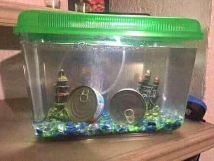 potret benda alih fungsi jadi akuarium © berbagai sumber potret benda alih fungsi jadi akuarium © berbagai sumber