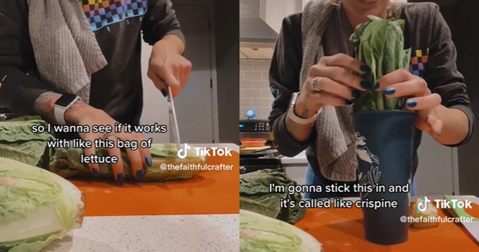 Bukan pakai es batu, ini cara mengembalikan selada romaine yang layu jadi segar lagi