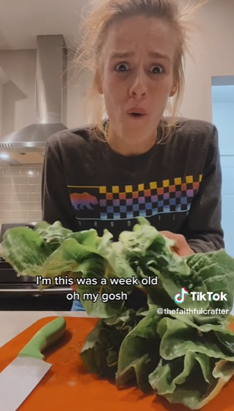 Bukan pakai es batu, ini cara mengembalikan selada romaine yang layu jadi segar lagi