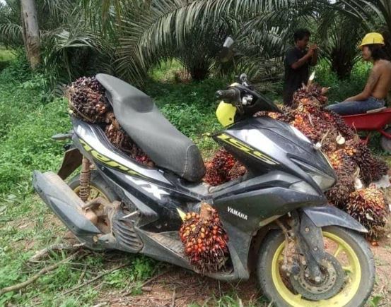 maksa bawa barang pakai kendaraan © berbagai sumber