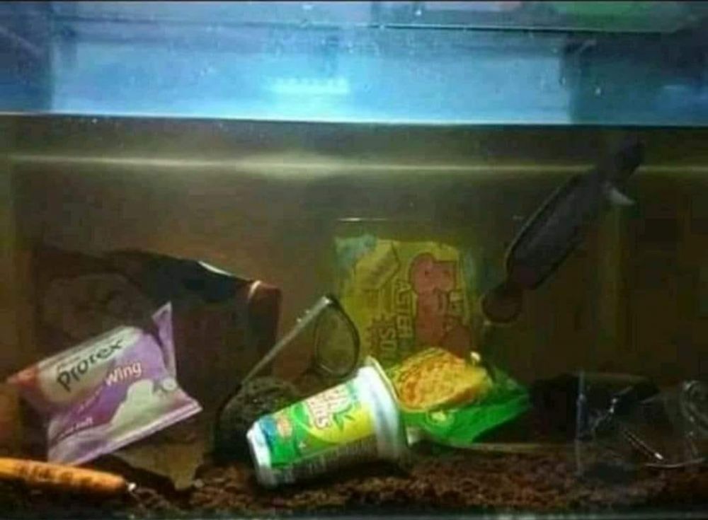 aksi nyeleneh orang pelihara ikan © Berbagai sumber