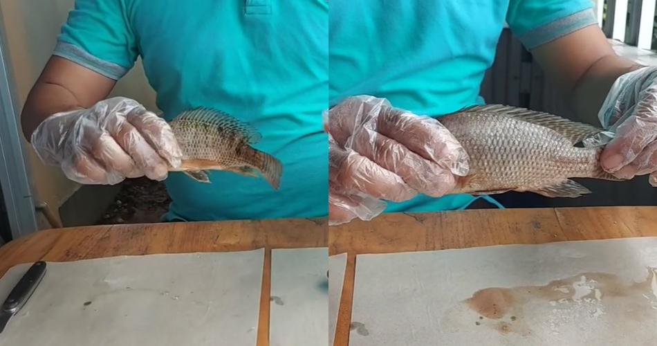 8 Cara mudah membedakan ikan segar dan busuk, jangan terkecoh saat beli