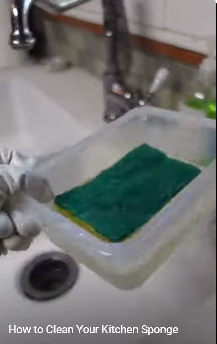 Tak banyak yang tahu, ini cara mensterilkan spons cuci piring agar bebas bakteri