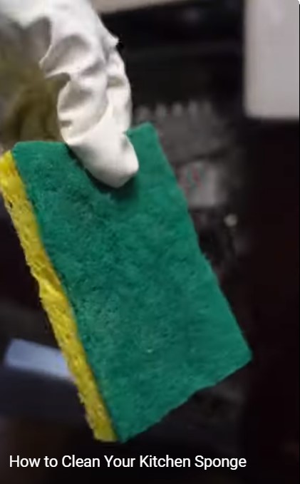 Tak banyak yang tahu, ini cara mensterilkan spons cuci piring agar bebas bakteri