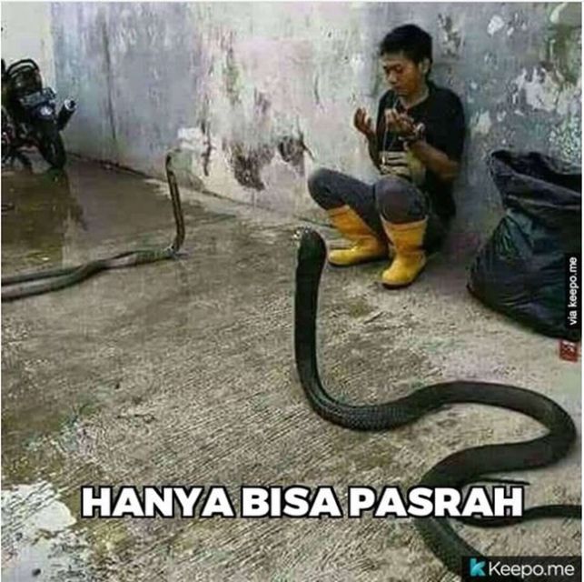 Momen apes orang kelewat santai © 2023 brilio.net Momen apes orang kelewat santai © 2023 brilio.net