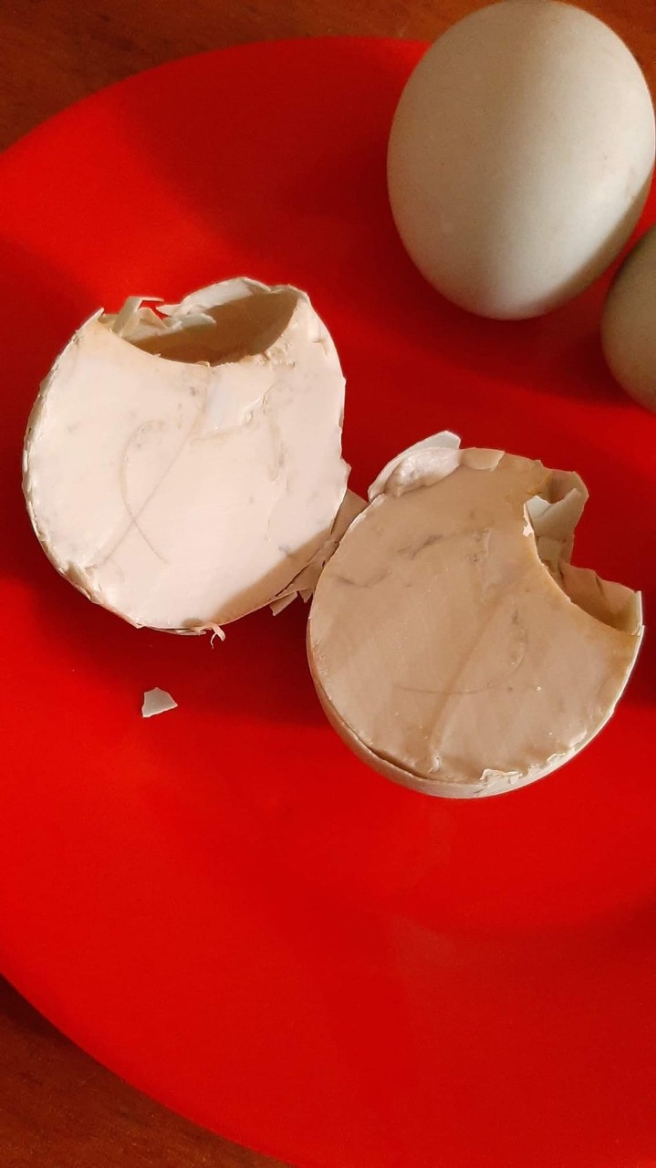 momen apes saat mau makan bikin elus dada © berbagai sumber