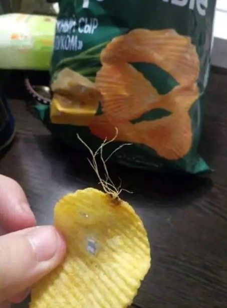 momen apes saat mau makan bikin elus dada © berbagai sumber