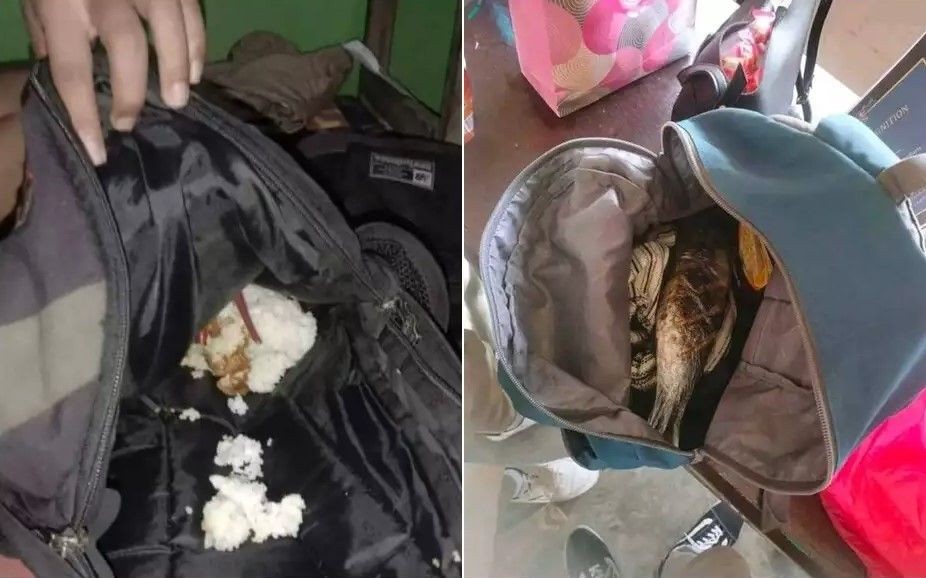 momen apes saat mau makan bikin elus dada © berbagai sumber