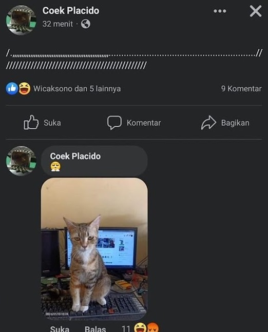 komentar di facebook bikin auto skakmat © berbagai sumber