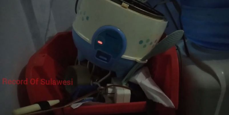 Cara ampuh usir semut yang kerubungi nasi di rice cooker, cuma pakai satu bahan dapur