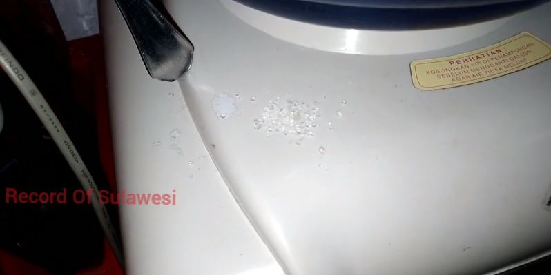 Cara ampuh usir semut yang kerubungi nasi di rice cooker, cuma pakai satu bahan dapur