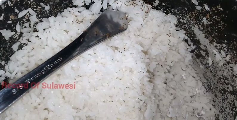 Cara ampuh usir semut yang kerubungi nasi di rice cooker, cuma pakai satu bahan dapur