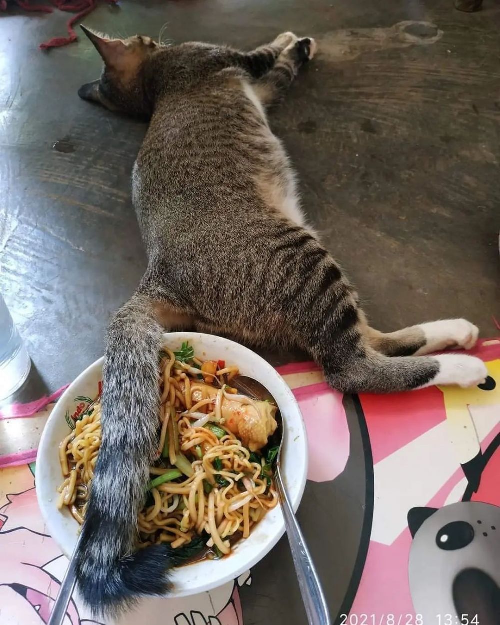 akibat nggak hati-hati jadi apes banget © berbagai sumber