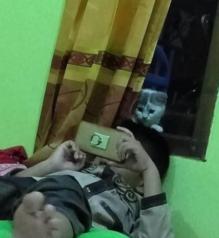 potret di balik jendela © berbagai sumber