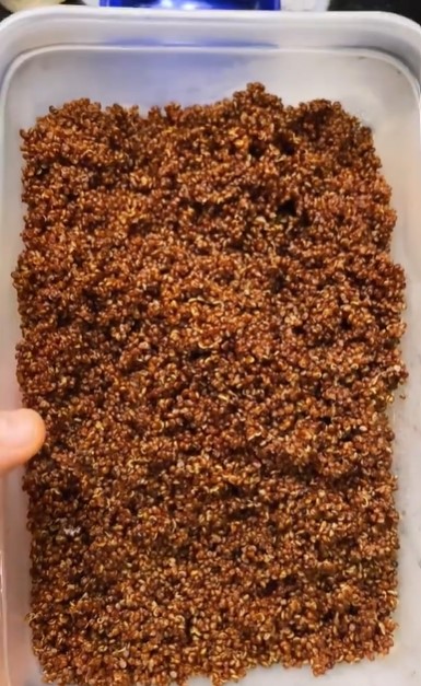 10 Makanan sehat dikonsumsi Ganindra Bimo ini bantu bikin tubuh kekar