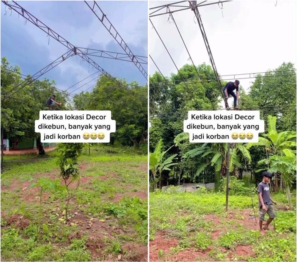 dekorasi nikah di ladang © TikTok dekorasi nikah di ladang © TikTok