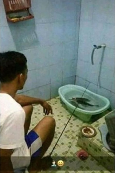 kelakuan nyeleneh orang di kamar mandi © Berbagai sumber