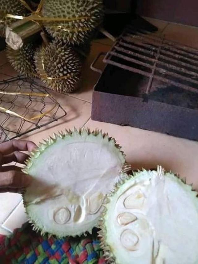 momen apes buka buah © Berbagai sumber