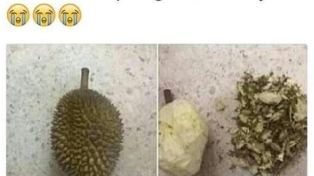 momen apes buka buah © Berbagai sumber