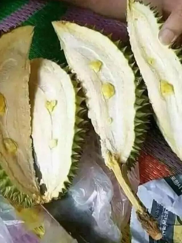 beli durian pas dibuka malah bikin kesal © berbagai sumber