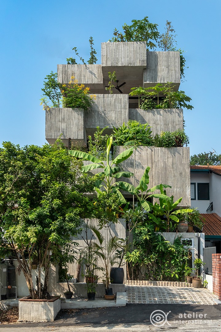 Rumah tua dimakeover jadi hunian bak dalam hutan bergaya tropis modern, 11 potret dalamnya menakjubkan