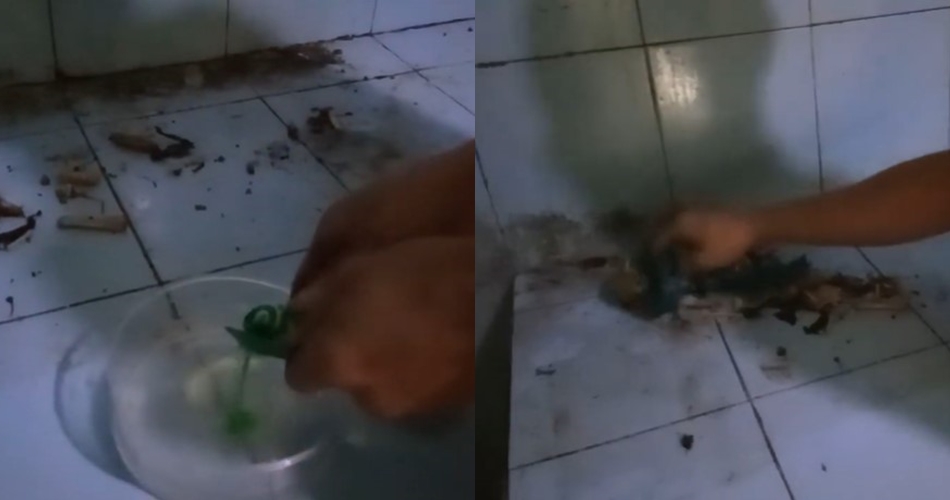 Cara sederhana membersihkan kotoran dan kerak pada meja kompor di dapur, auto kinclong lagi