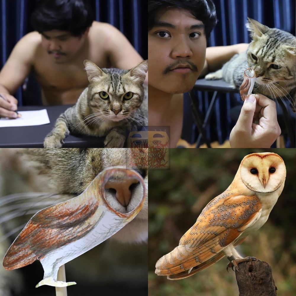 cosplay jadi hewan © Instagram