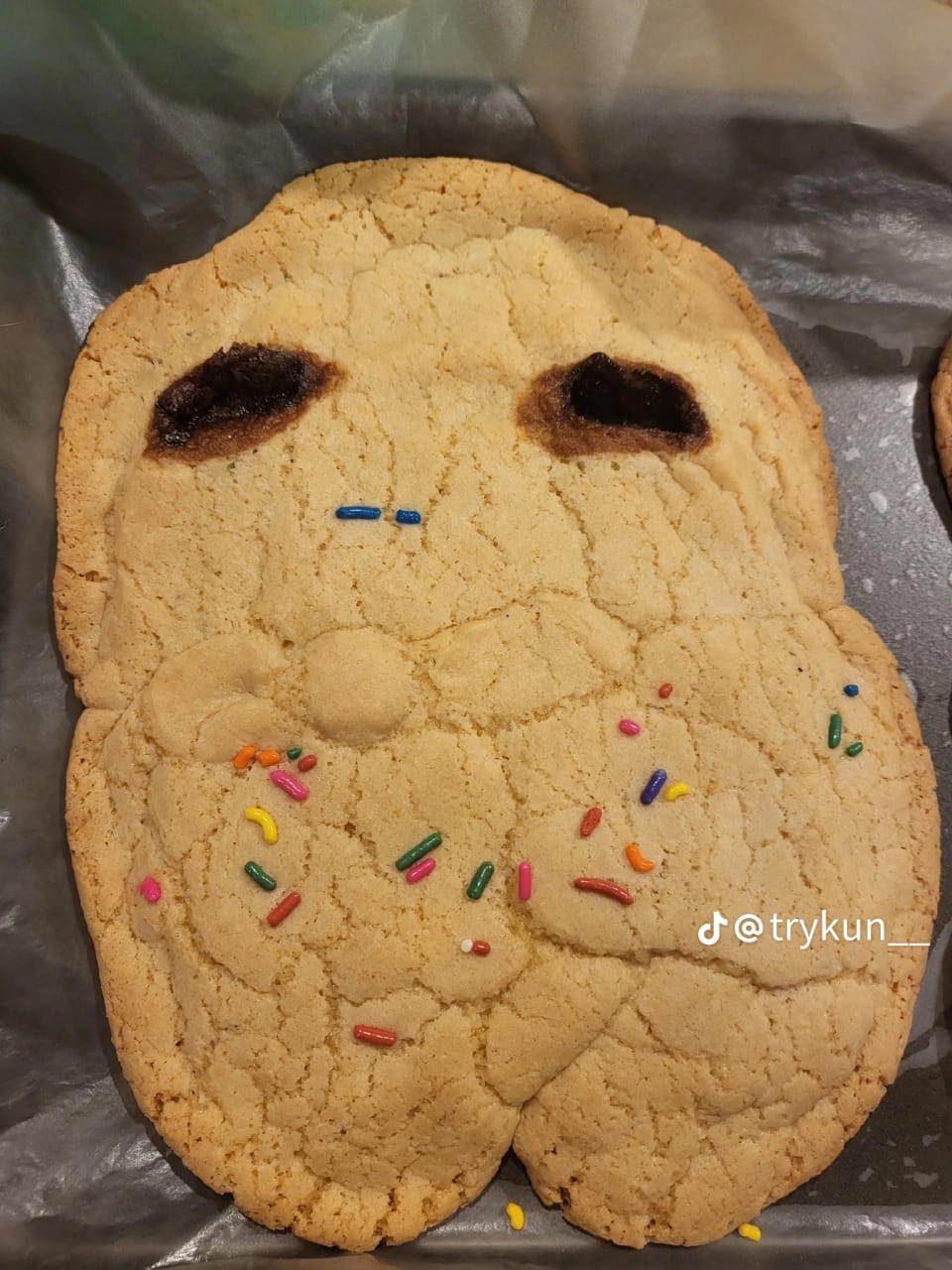 Momen apes warganet niat bikin cookies lucu, hasilnya malah bikin ketawa ngakak