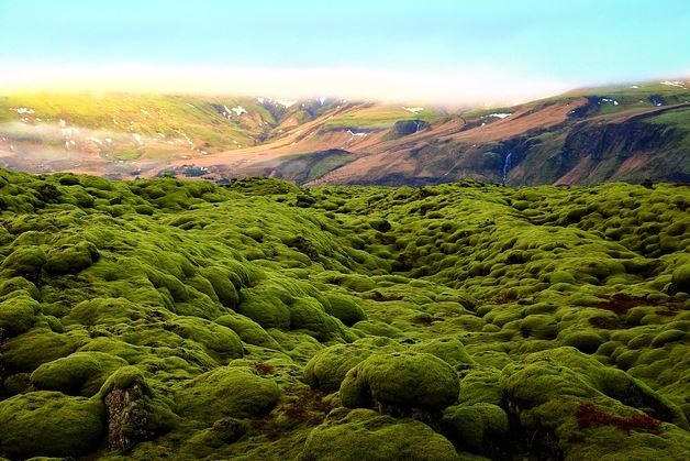 kenapa greenland isinya es terus islandia isinya rumput? Berbagai sumber