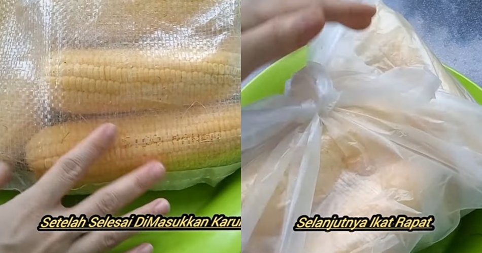 Cara menyimpan jagung utuh agar tetap segar dan tak keriput hingga 1 bulan