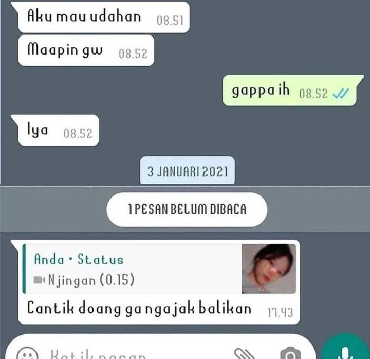 chat mau nyapa mantan malah balasannya nyelekit © berbagai sumber
