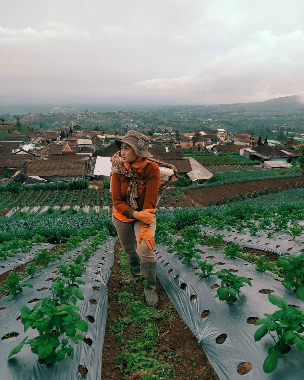 ladang novi pedangdut jadi petani © Instagram