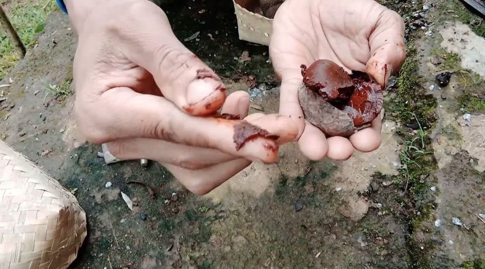 Trik mengolah kluwek untuk rawon supaya tak beracun dan aromanya makin sedap