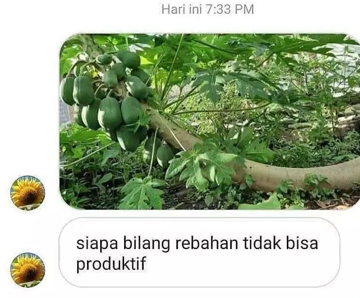 Chat lucu kirim foto ini malah makin kesal Berbagai sumber Chat lucu kirim foto ini malah makin kesal Berbagai sumber