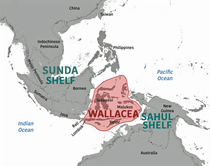 Dulu pulau Kalimantan, Sumatera, dan Jawa adalah satu daratan, kok bisa pisah? Begini penjelasannya
