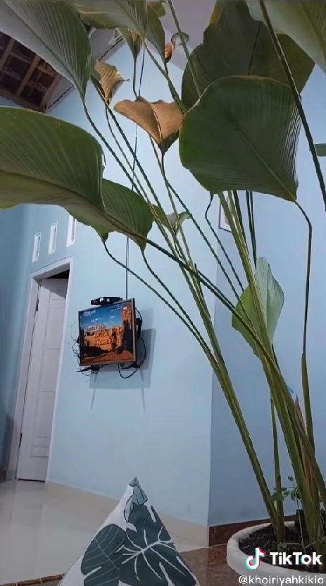 rumah ala taman © TikTok/@khoiriyahkikio