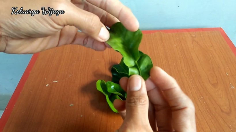 Nggak banyak yang tahu, bentuk daun jeruk ini bikin masakan jadi pahit
