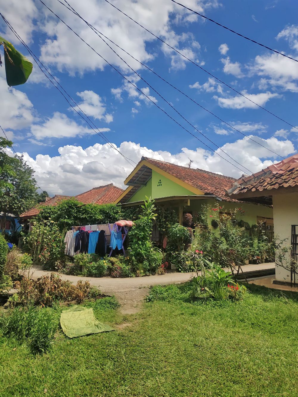 rumah penuh tanaman hias © Facebook rumah penuh tanaman hias © Facebook